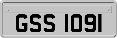 GSS1091