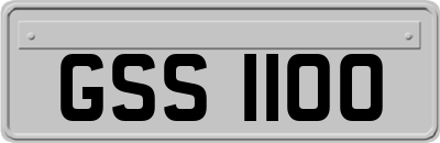 GSS1100