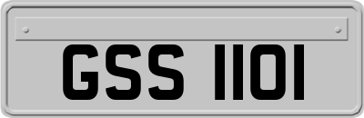 GSS1101