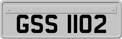 GSS1102