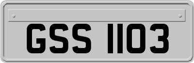 GSS1103