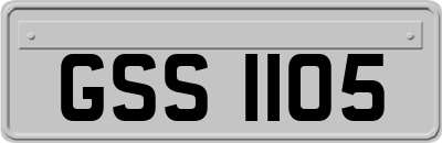 GSS1105