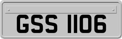 GSS1106