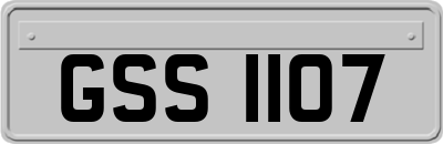 GSS1107