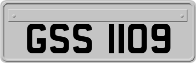 GSS1109