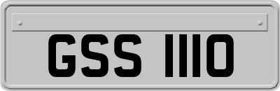GSS1110