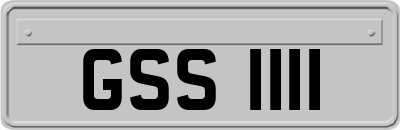 GSS1111