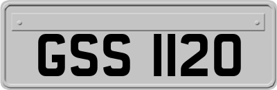 GSS1120