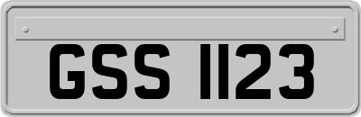 GSS1123