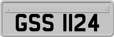 GSS1124