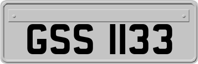 GSS1133