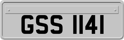 GSS1141