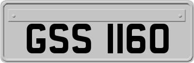 GSS1160
