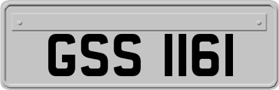 GSS1161