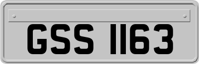 GSS1163