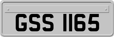 GSS1165