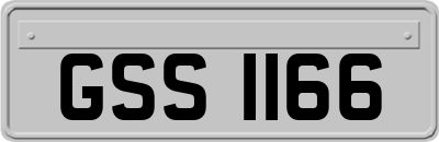 GSS1166