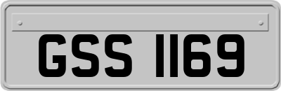 GSS1169