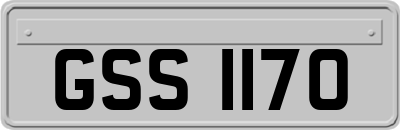 GSS1170