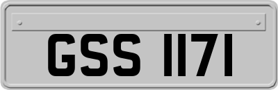 GSS1171