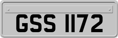 GSS1172