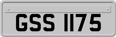 GSS1175