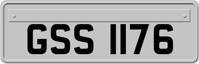 GSS1176