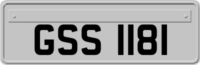 GSS1181