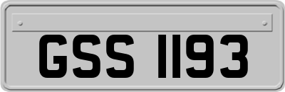 GSS1193