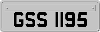 GSS1195