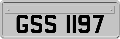 GSS1197