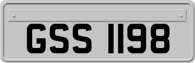 GSS1198
