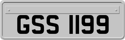 GSS1199