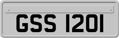GSS1201