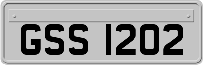 GSS1202