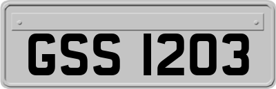 GSS1203