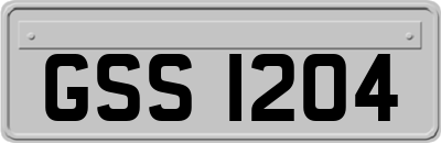 GSS1204