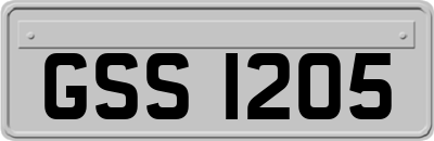 GSS1205