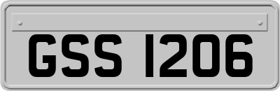 GSS1206