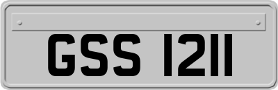GSS1211