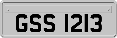GSS1213