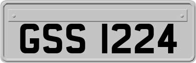 GSS1224