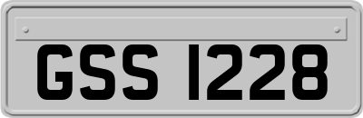 GSS1228