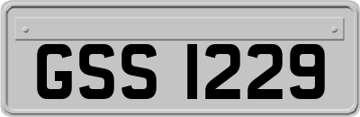 GSS1229