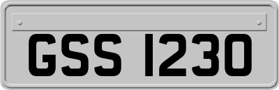 GSS1230