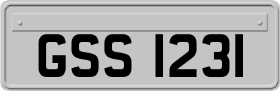 GSS1231