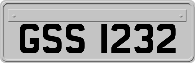 GSS1232