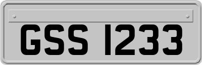 GSS1233