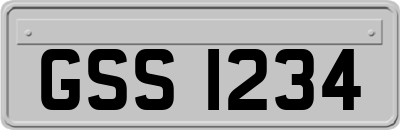 GSS1234