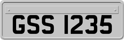 GSS1235